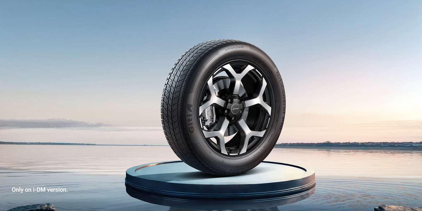 19 Wheels