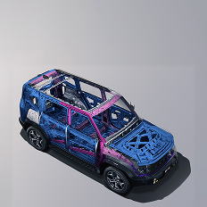 Steel Cage
